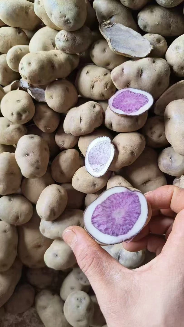 【黔乡阿哥】高山种植正宗粉糯香乌洋芋紫色土豆 七彩土豆