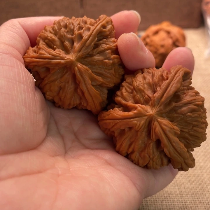 津***人核桃白狮子45核桃