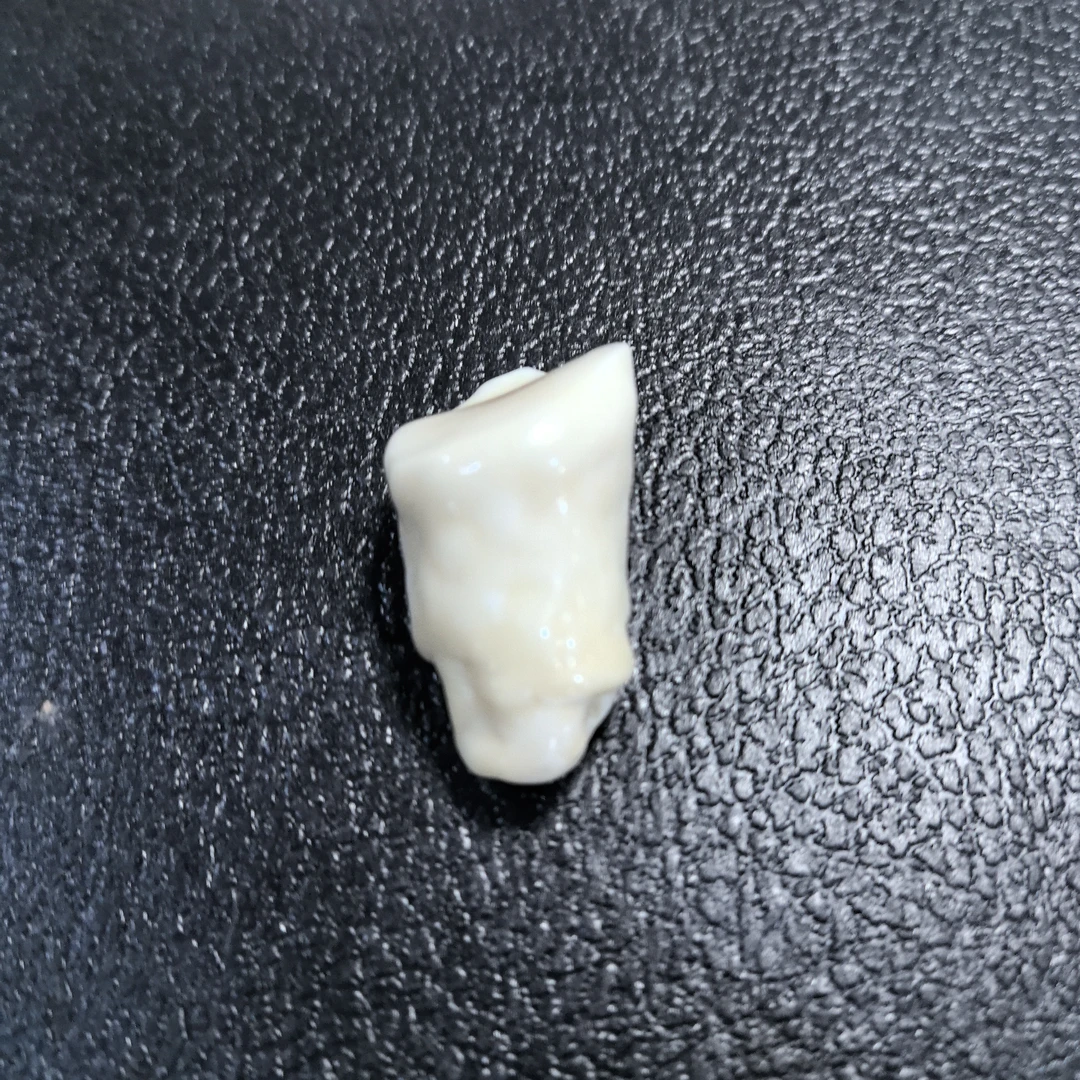 猛犸秋吊坠19.3克链接Q121