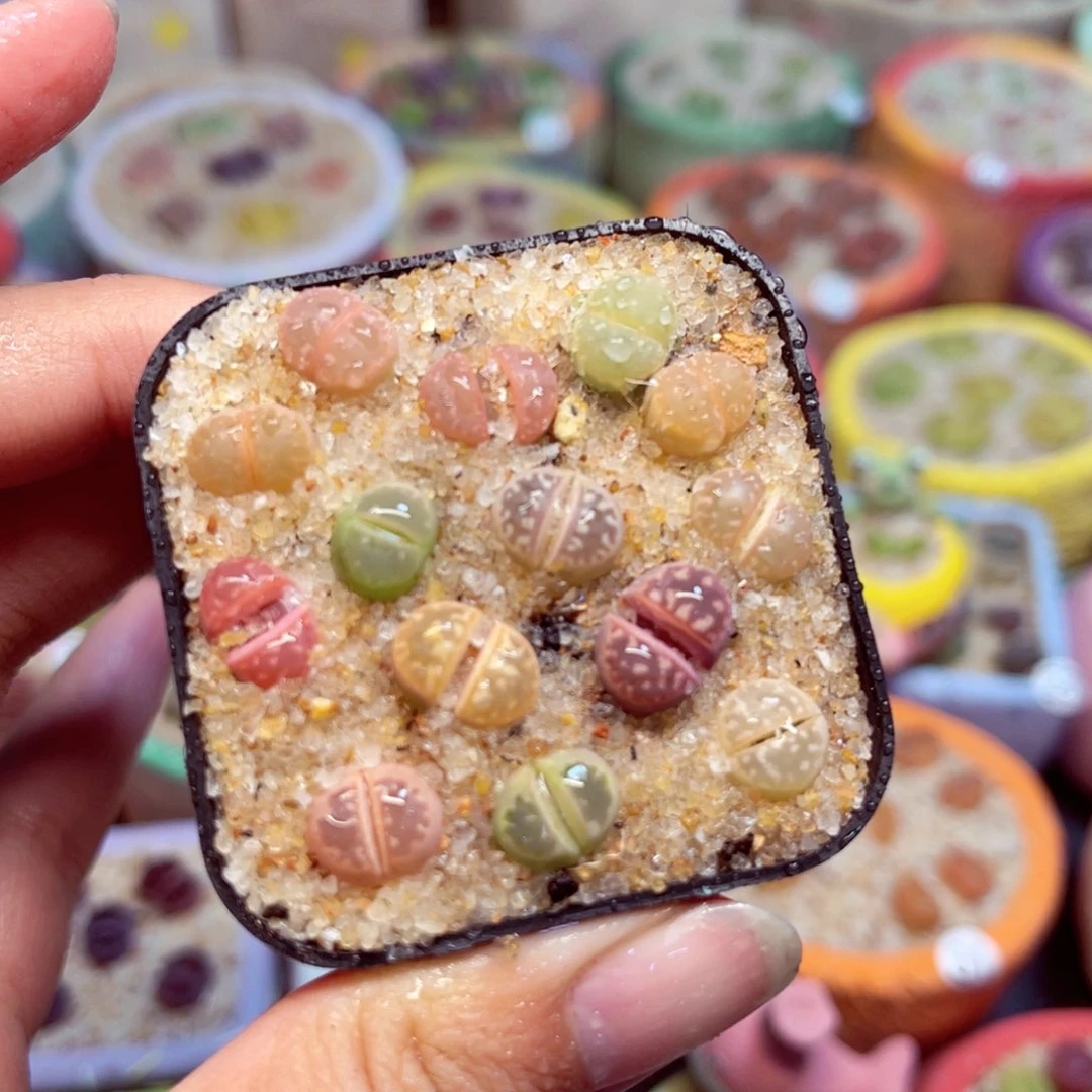 411. Yu678756778966867