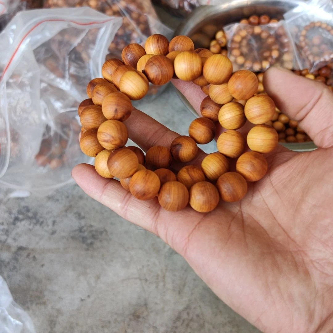 1.5毛珠子，太行崖柏