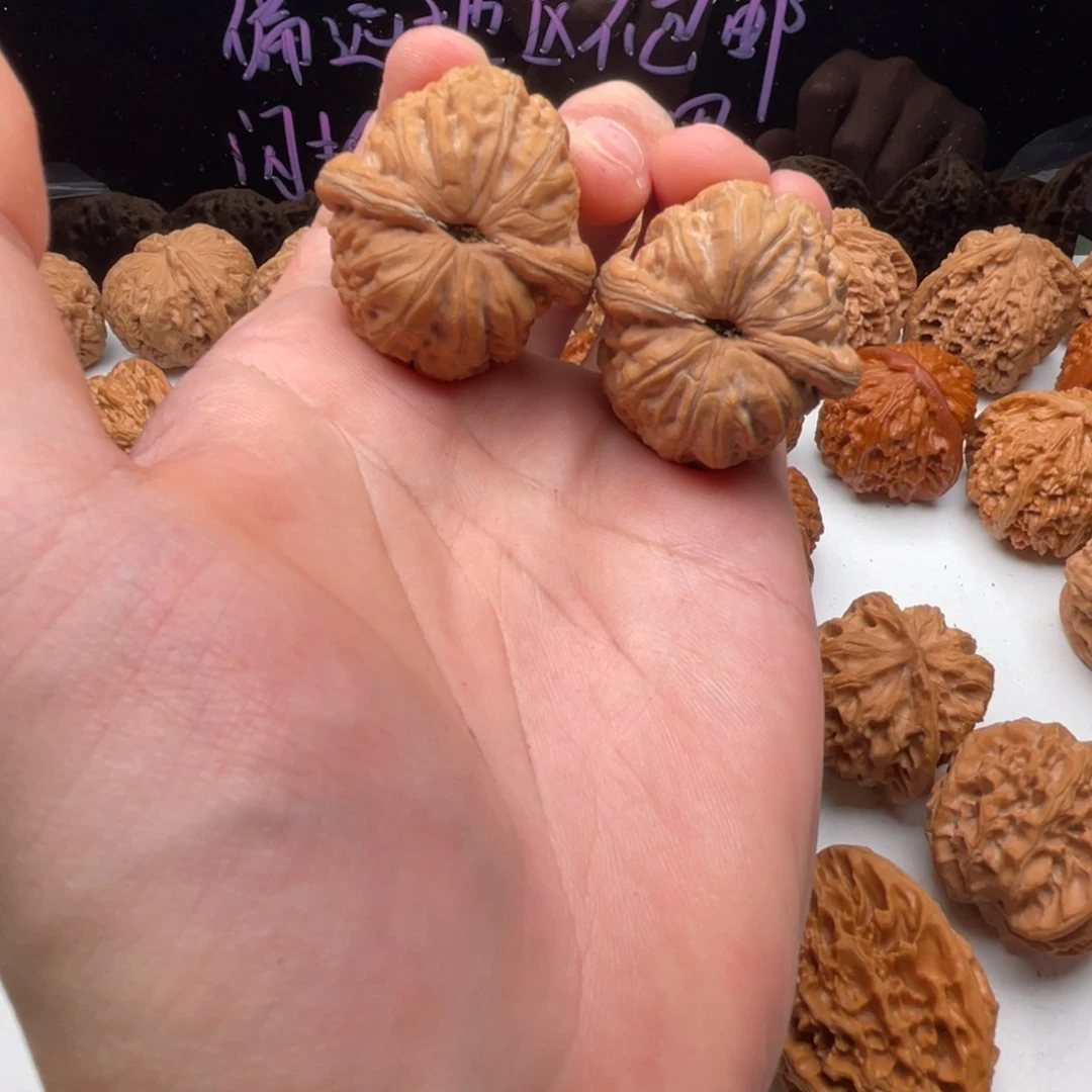 风***翼核桃把件37全品小元宝