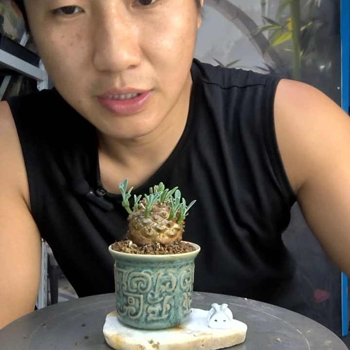 小*实中青园艺一物一拍277