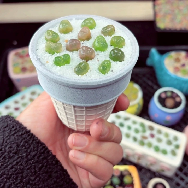 855零下地区记得拍保温箱满18包邮