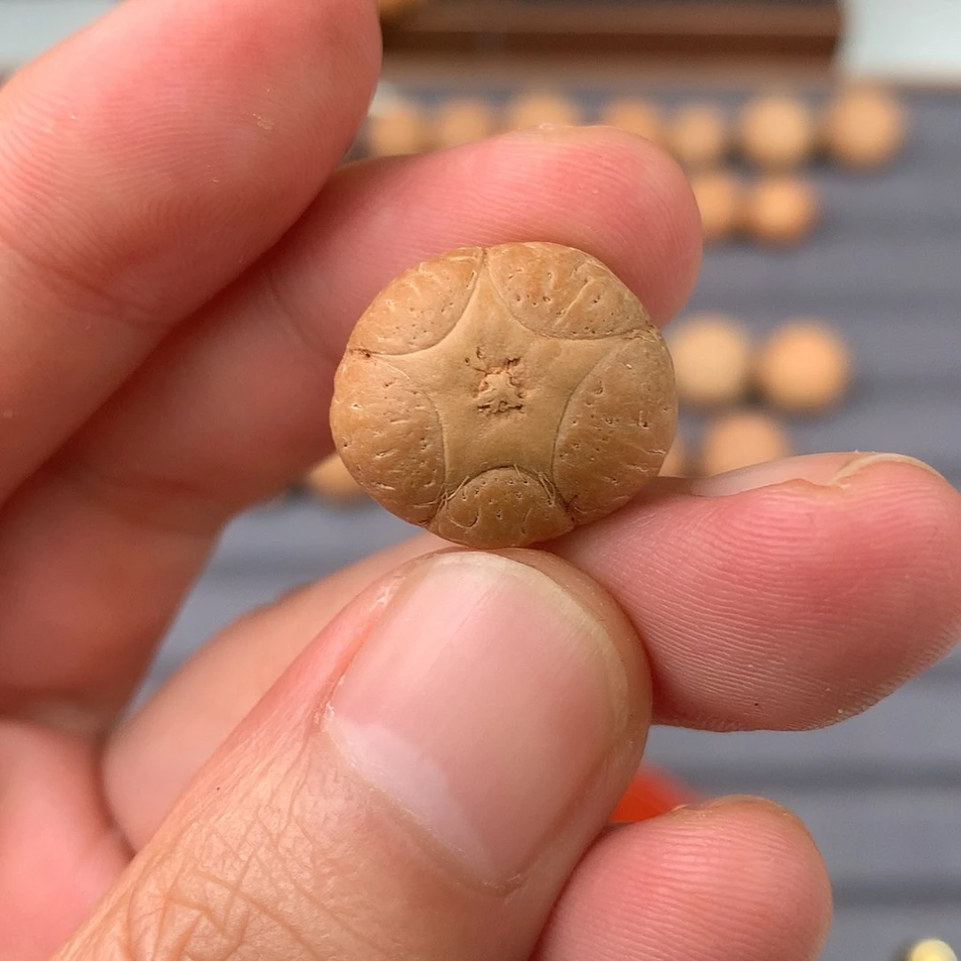 手串凤眼菩提19+五星，非质量问题开孔不退