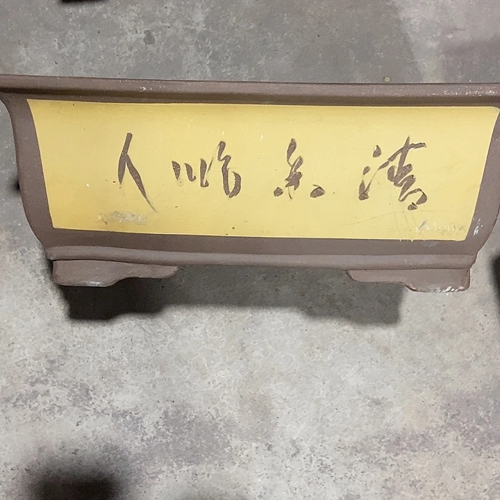 40花盆花盆花盆花盆花盆