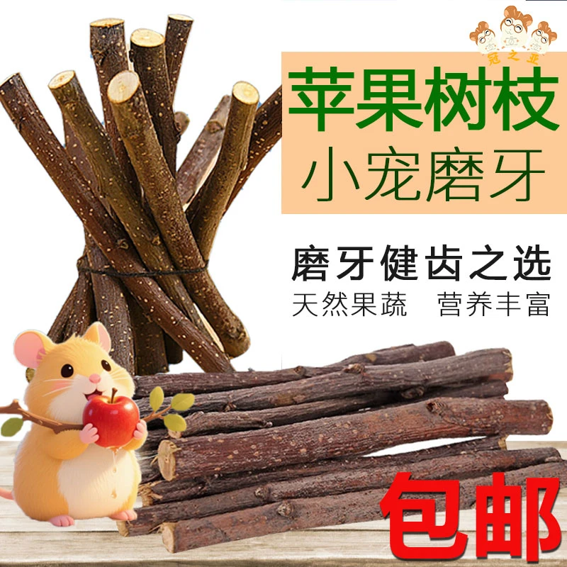 龙猫磨牙枝零食用品玩具树枝零食磨牙棒磨牙石兔子龙猫苹果枝