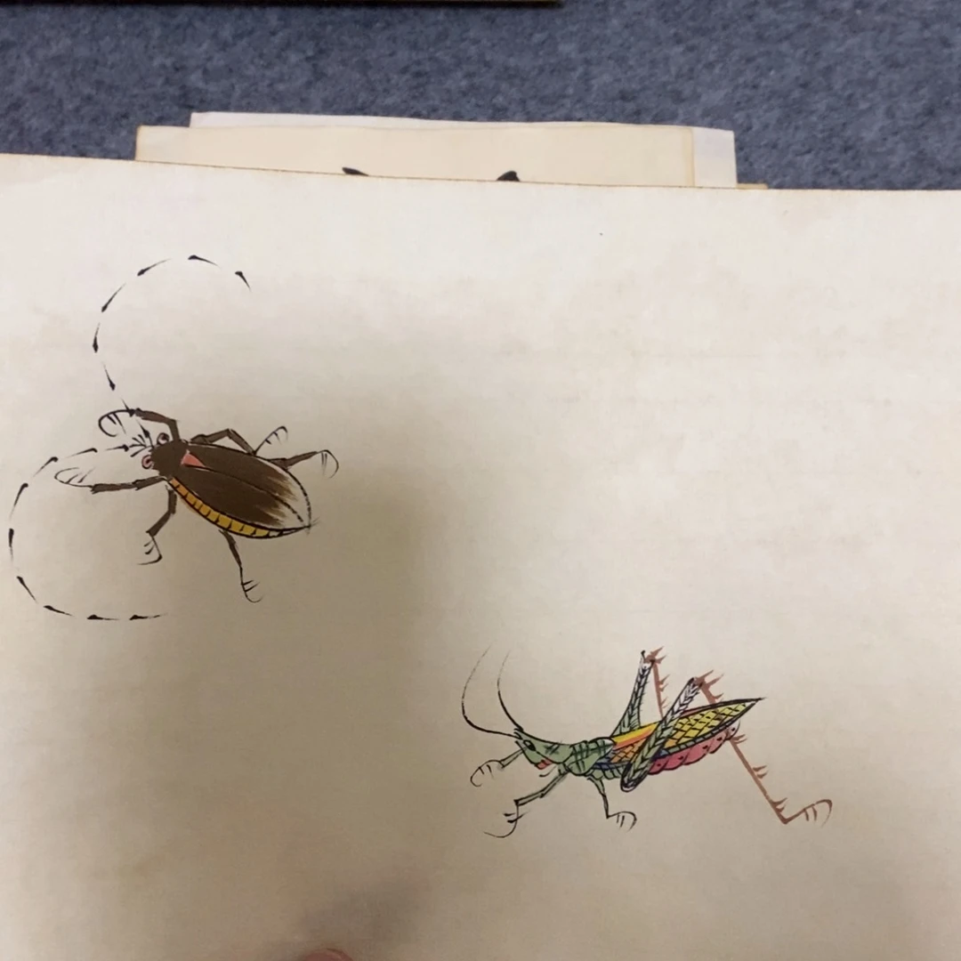 兜***藏闪购商品闪购商品