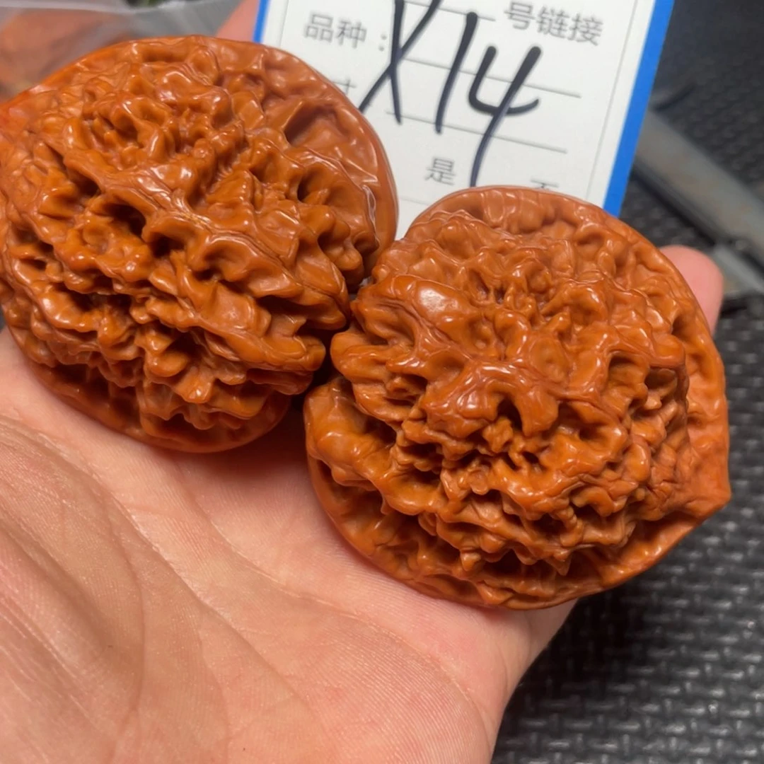 核桃其他狮子头的