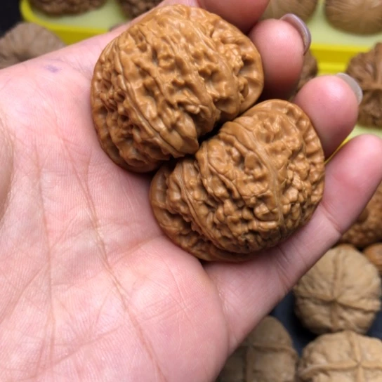 八***财核桃手串/手链白狮子