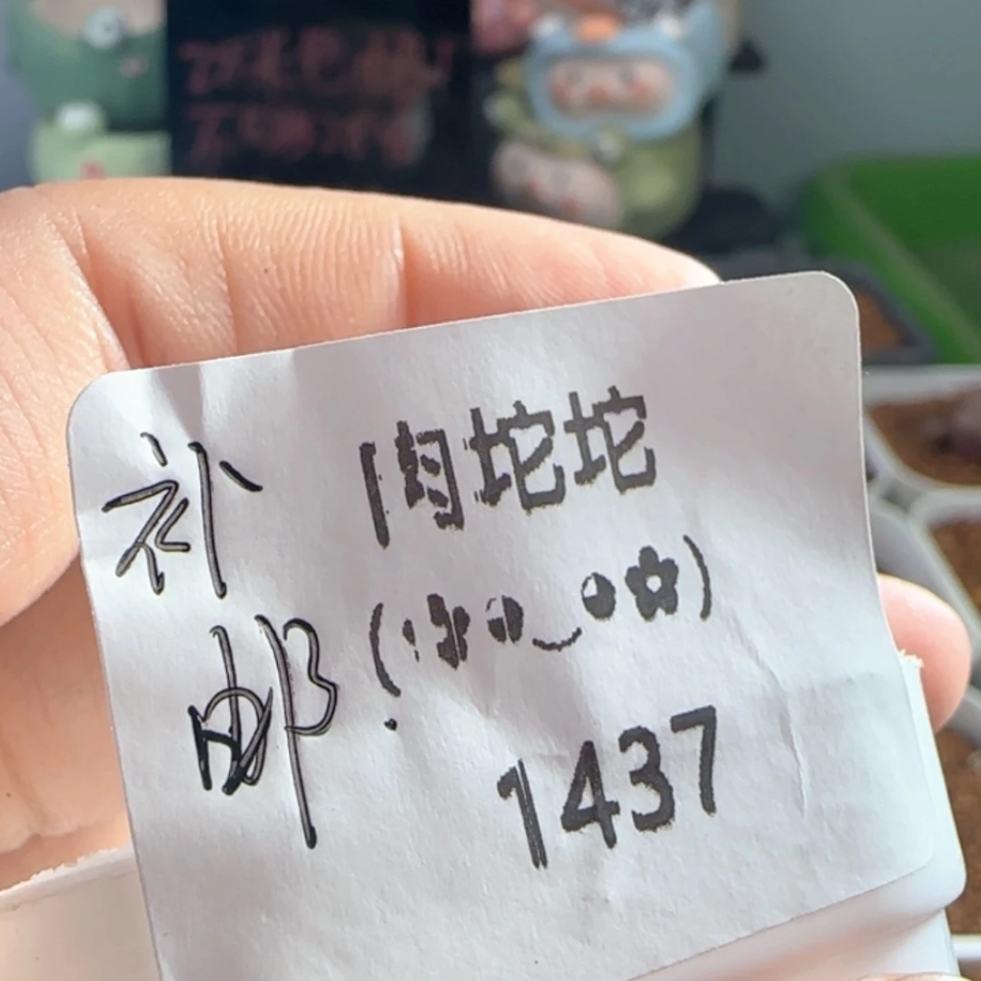 ****:1437/拿铁邮费////