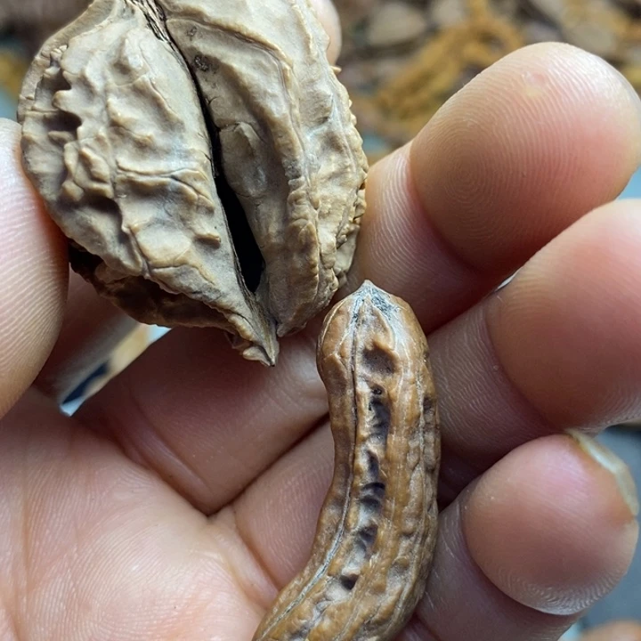 香榧木拿姐工艺流程9