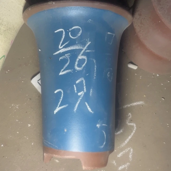 周三周四自始至终自作自受