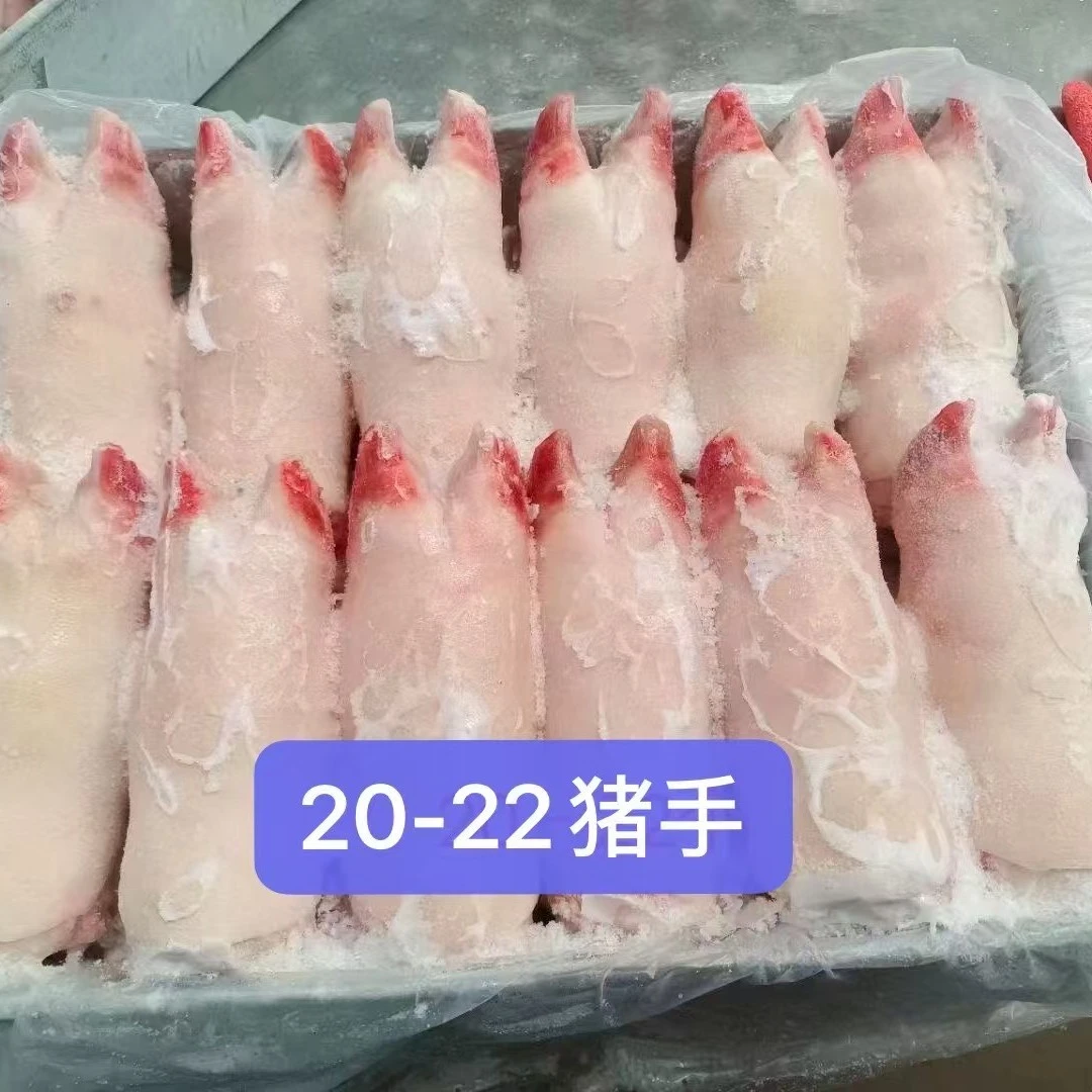 精品鲜冻猪手20斤（20个）