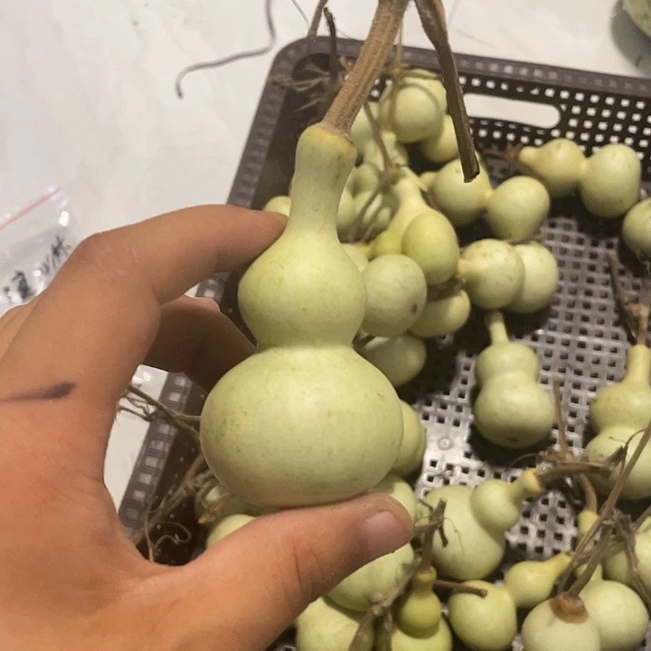 骑***步感谢大哥支持兄弟不保