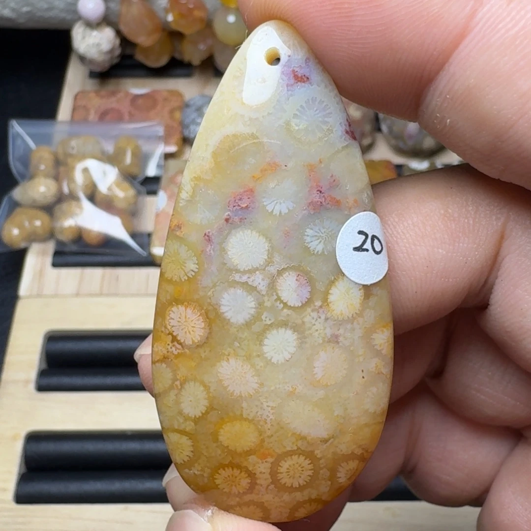 硅化珊瑚（珊瑚玉）未镶嵌纯天然色有机玉石保真色