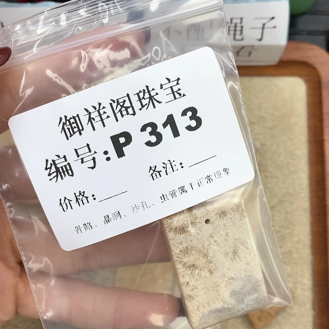 硅化珊瑚（珊瑚玉）P未镶嵌用****2