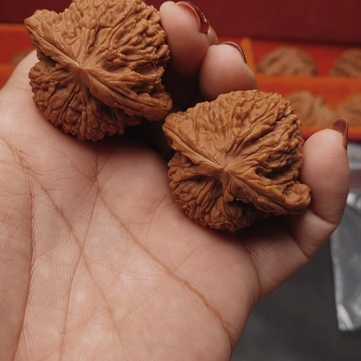 核桃南疆40尺核桃