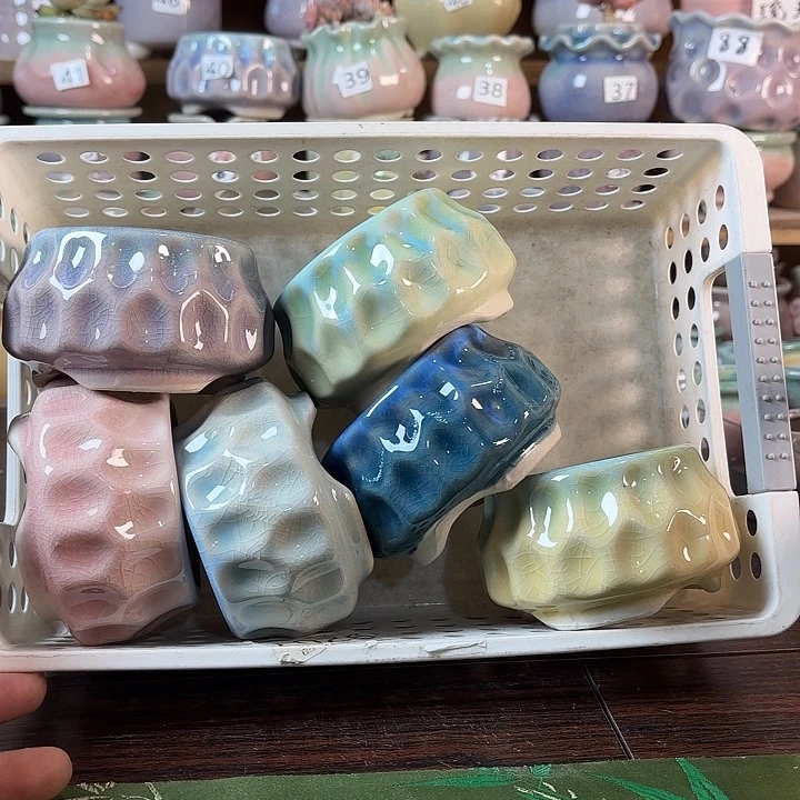 红陶量货/口6高5深浅搭配发6