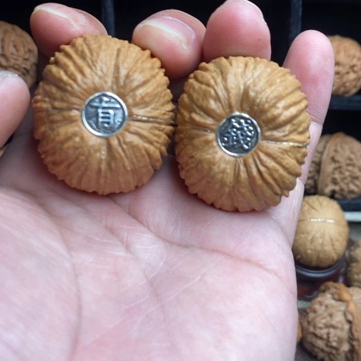 全品猴头元宝40尺寸