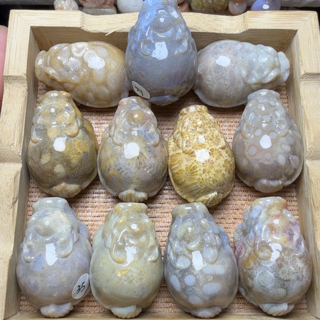 硅化玉未镶嵌双旦福利11个龙龟随机价一起走320米无珠无绳