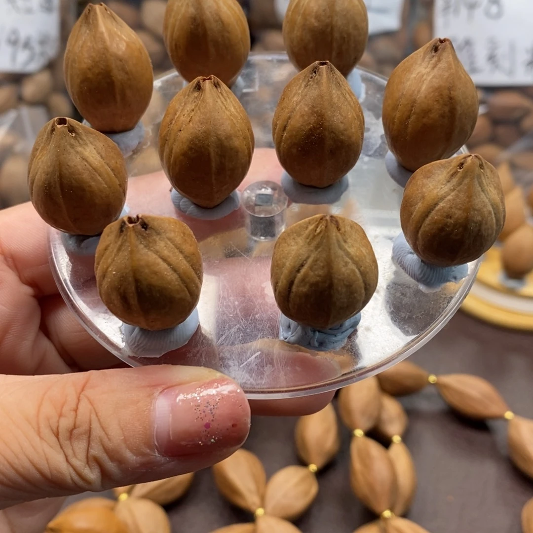 橄榄核原皮素核一条