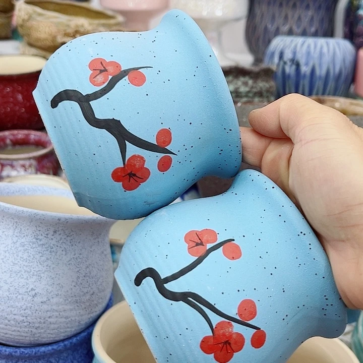 福利花盆9.99包邮