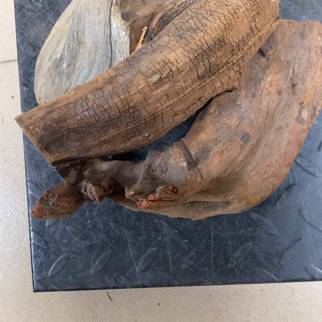 柏木港****务我们都是好孩子