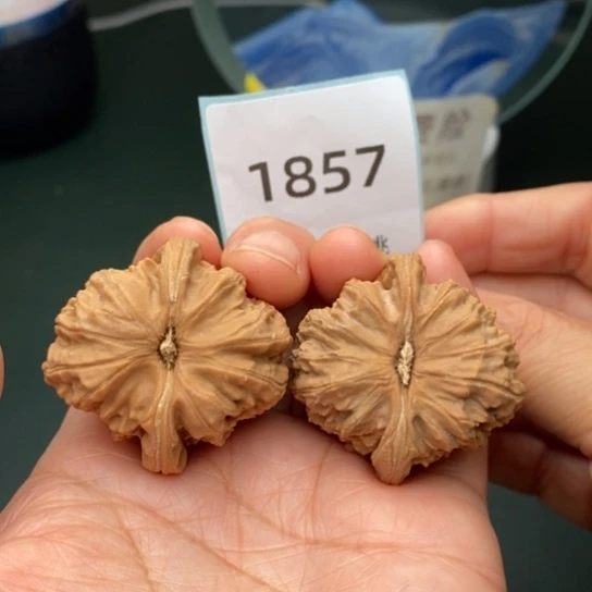 文玩核桃把件只***.38三角白1857