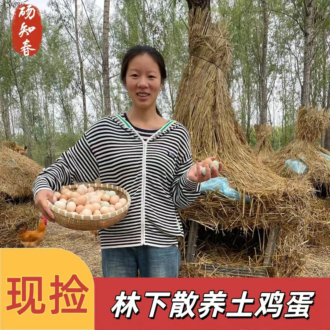 林下农家散养农村土鸡蛋新鲜现捡营养健康粗粮谷物喂养