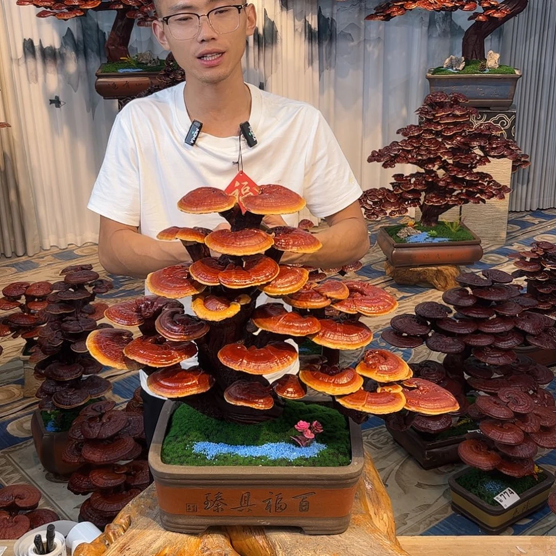 无花朵48888888888