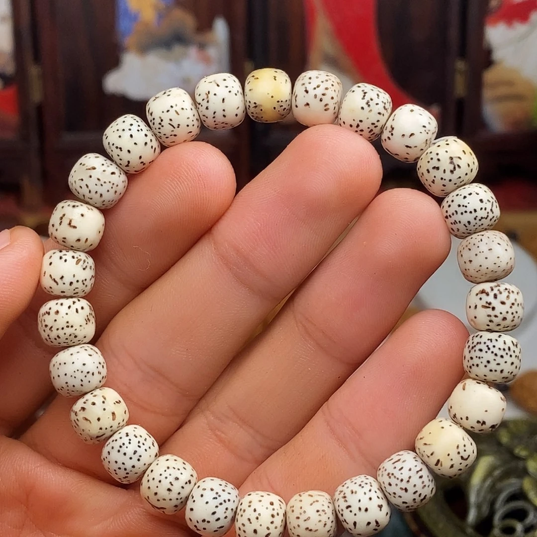 橄榄核手串/手链nnnbbbbbbhhhhhbbbbbbbn