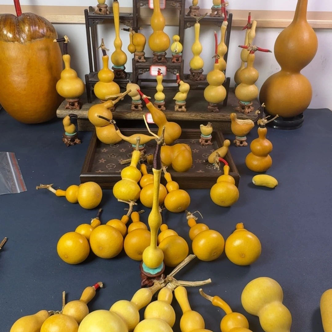 ****直播间专项链接 请勿乱拍