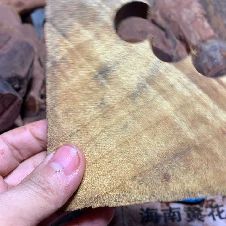 金丝楠欢**长金丝楠小叶桢楠