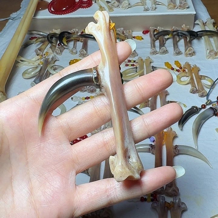 大***生鸡骨（鸡脚）手串/手链鸡爪骨单只