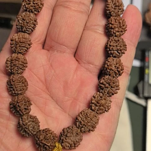 金刚菩提把件龙骨梅花大金刚手持，12左右尺寸，原皮原色