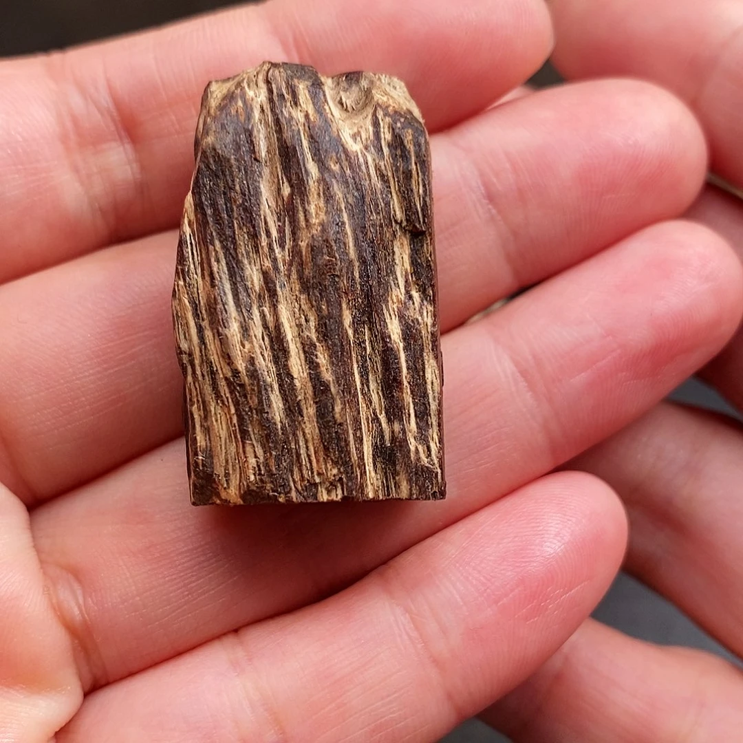 沉香沉香枕海南油沉水绿棋楠7.3