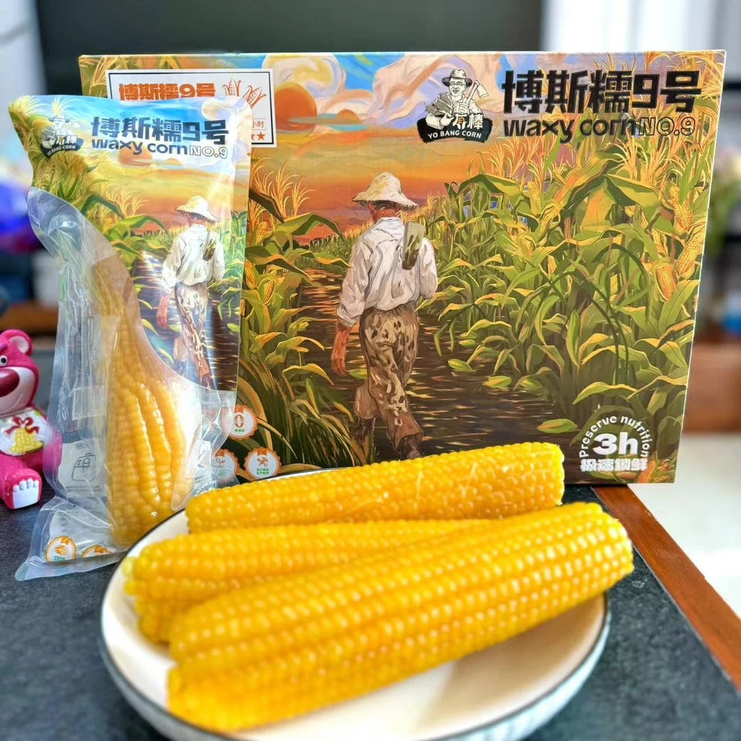 博斯糯9号