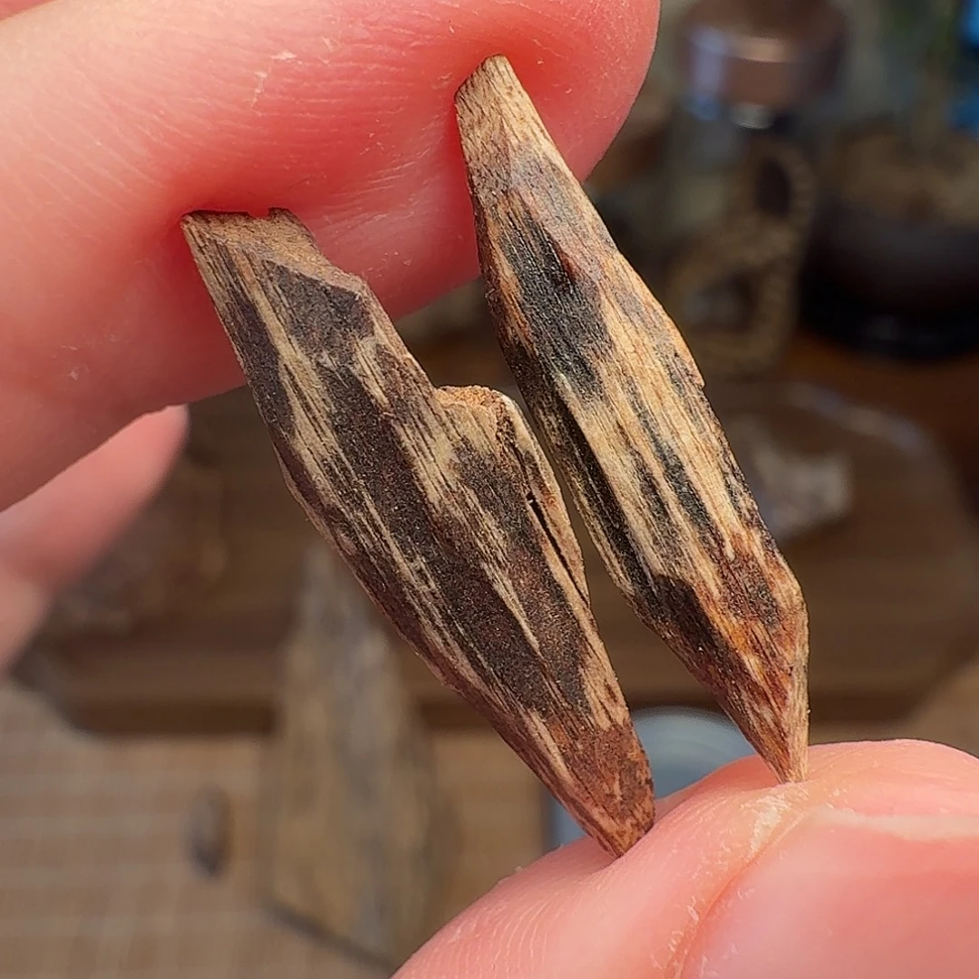 沉香斯里兰卡瓜子