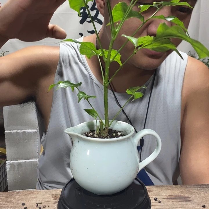 山****?退款拉黑一物一拍373