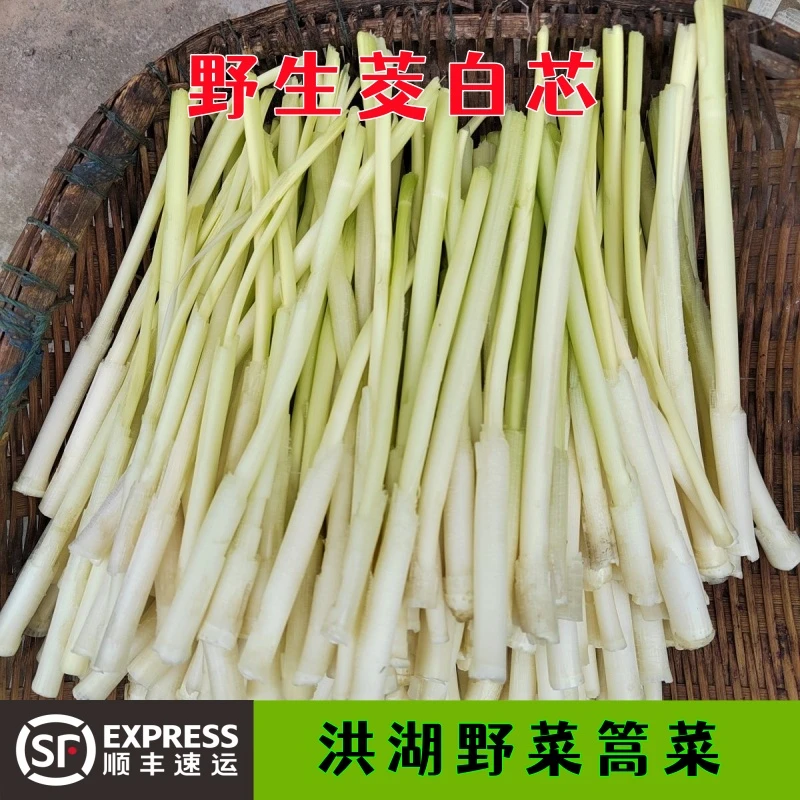 【顺丰冷链】洪湖野生篙菜茭白蒲菜篙菜茭白现采新鲜茭白芯时令蔬菜