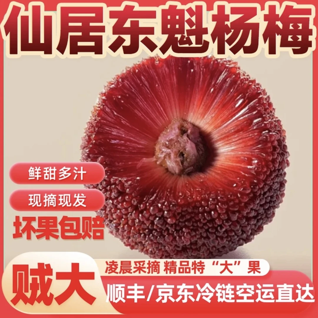 正宗仙居【东魁杨梅】8A大果 空运冷链新鲜凌晨采摘现采送礼礼盒