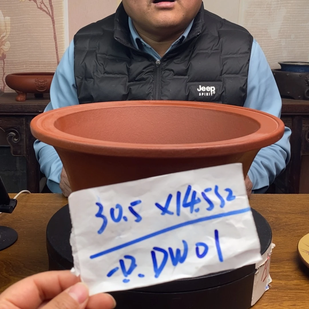 红陶货号一只DW01红