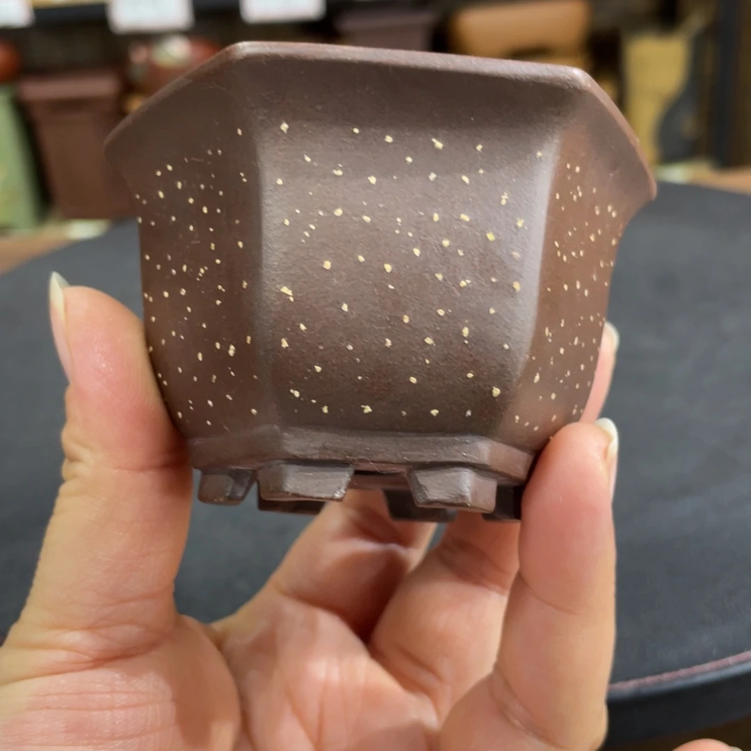 紫砂花盆紫砂花盆在这里