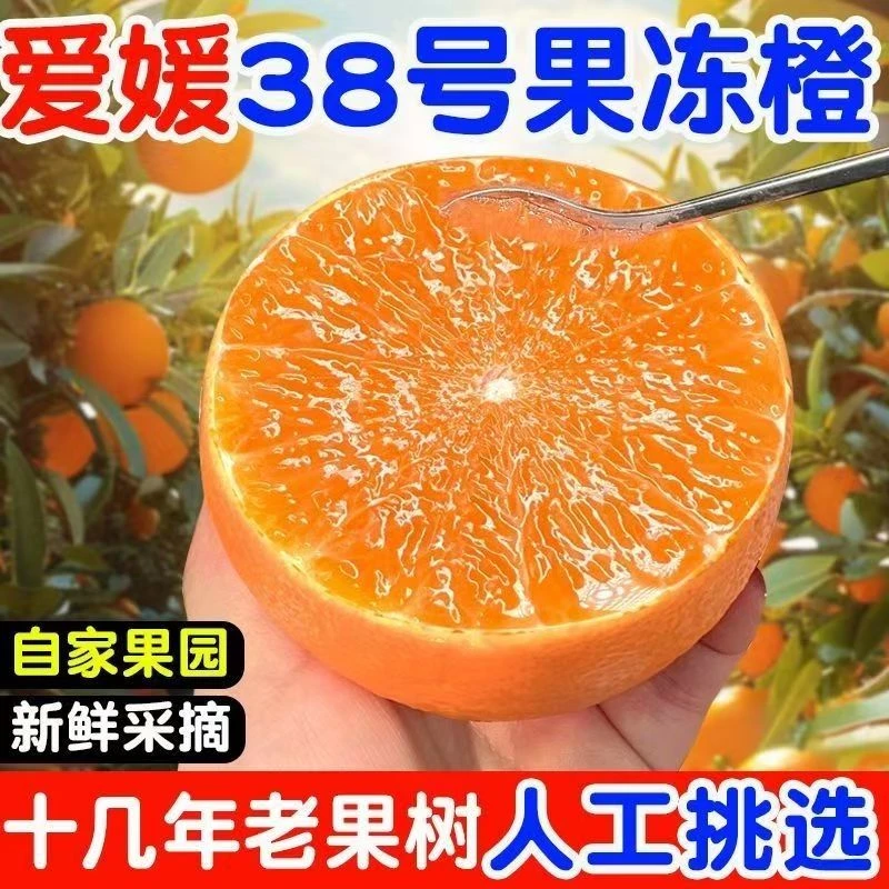 【红姐专属】四川新鲜橙子正宗爱媛当季38号果冻橙应季水果柑橘橙子