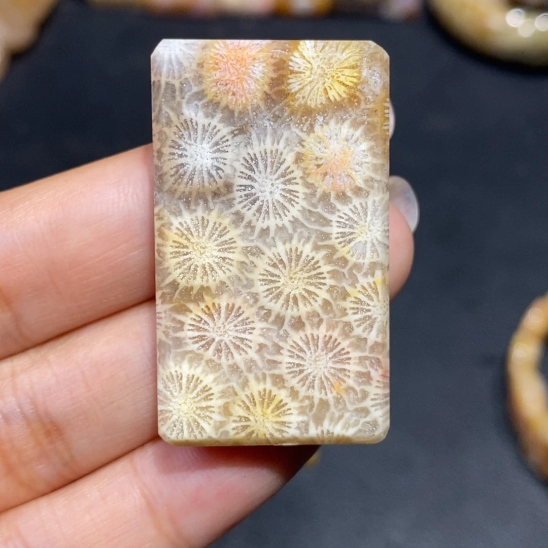 【闪购商品】硅化玉珊瑚玉未镶嵌