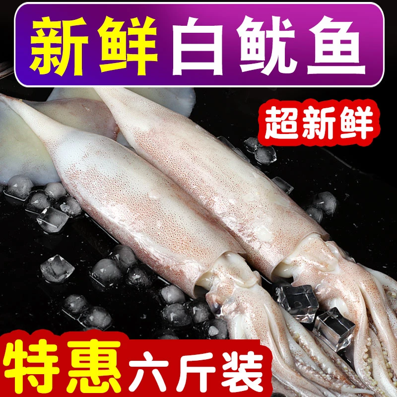 鱿鱼冷冻海鲜 新鲜笔管鱿鱼尤鱼整只 冰冻章鱼小八爪鱼 白鱿鱼