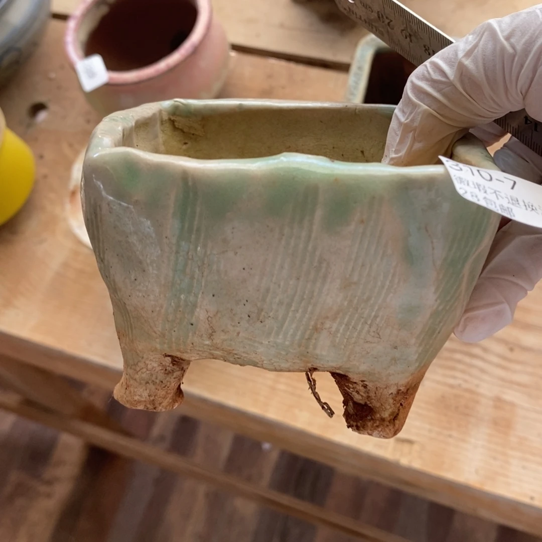 红陶小*儿7号多肉盆一个呀