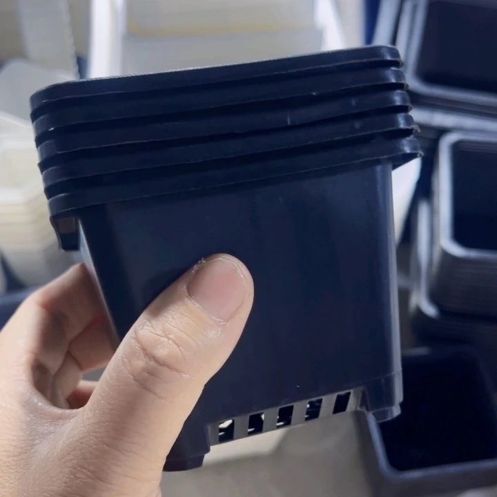 黑方口9高7一组50