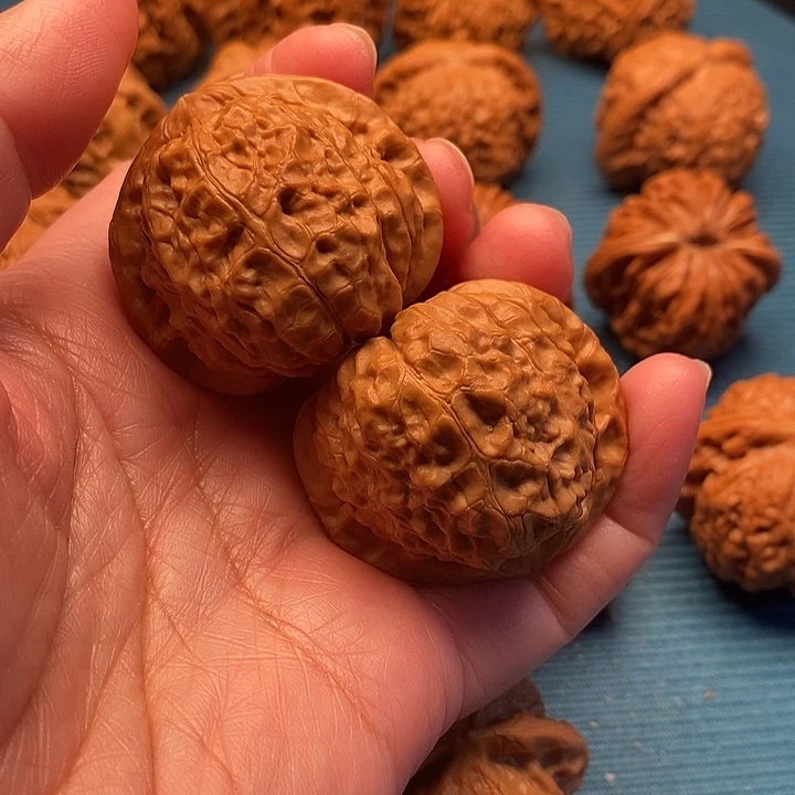 南瓜墩42尺已打底